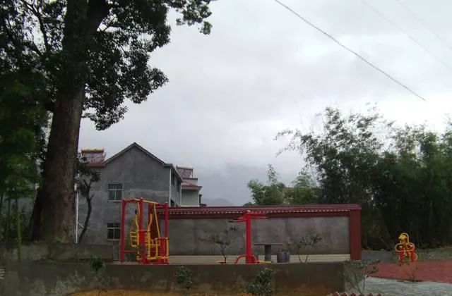  没事■年后，没事做的农民不妨做这4个“新生意”，赚钱嗖嗖的