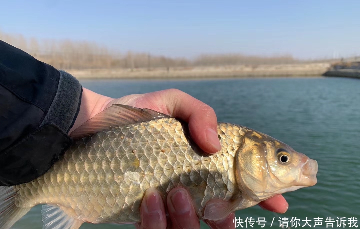  钓鱼■新手钓鱼经常忽略的三个问题，学会避免，秒变大师