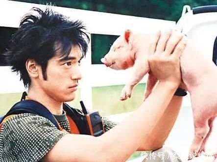  精致■说个鬼故事，娱乐圈已经20年没出过大帅哥了...