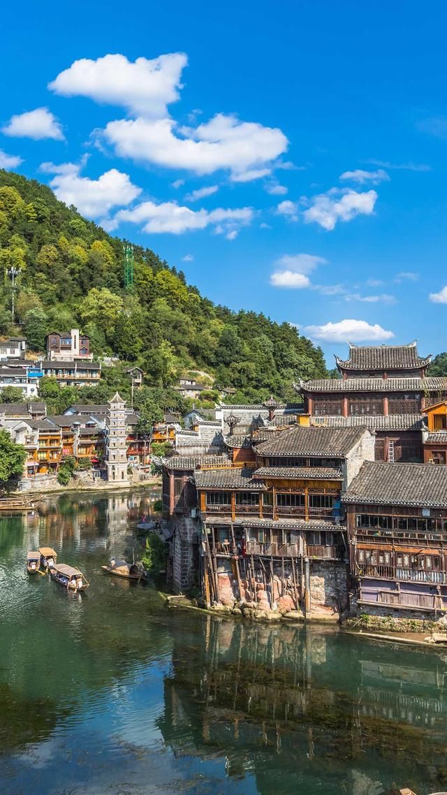 《芦苇的香》让人陶醉大自然怀抱里