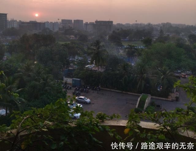 印度一桥梁用树种出来,存在500多年却越来越牢固,桥身就是树