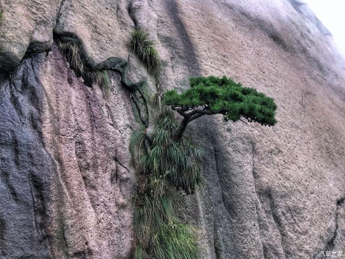 沃尔沃S90伴我同行——畅游古南岳天柱山