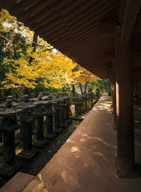 日本秋色 红叶正当时