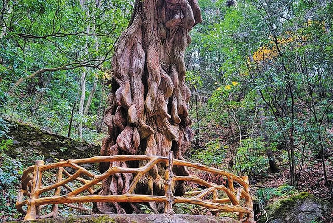 金寨燕子河大峡谷，国内最适合老人游玩的山岳景区