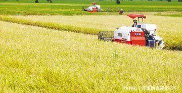  「暴富」未来5年可能“暴富”的4种农村职业，看你敢不敢干，敢