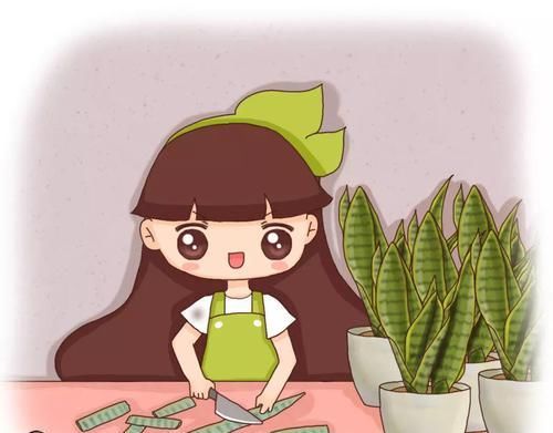  扦插■3种花最好别扦插，越养越难看，重瓣花也能变单瓣！