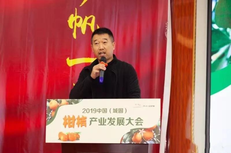 西洋实业 | 打响城固柑桔金字品牌 万亩