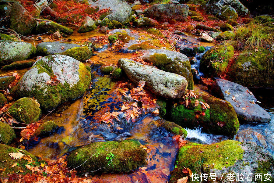 牛背梁 秋色迷人 你来与不来 它都是这么五彩斑斓