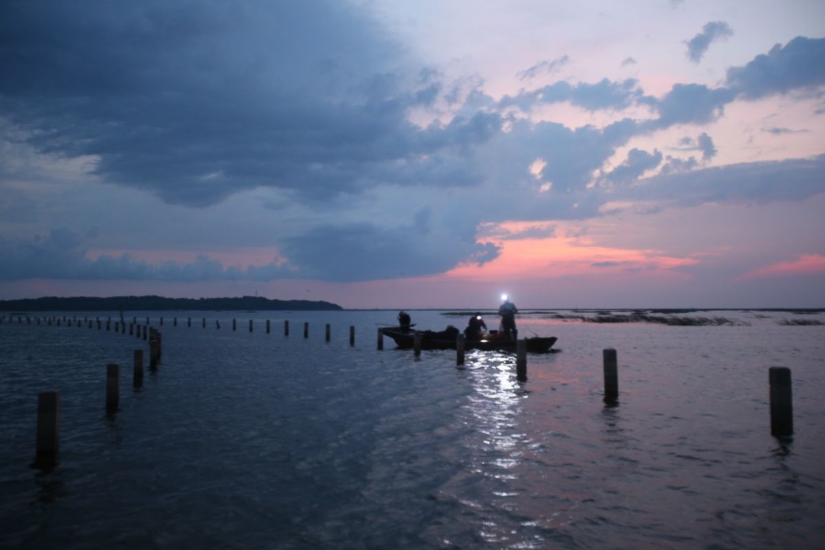 鄱阳湖水位下降 再现中国“最美水上公路”