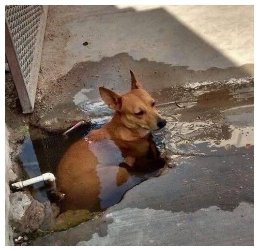 朋友闺蜜因为好玩，跟着别人在朋友圈转发了一条怀双胞胎的假消息