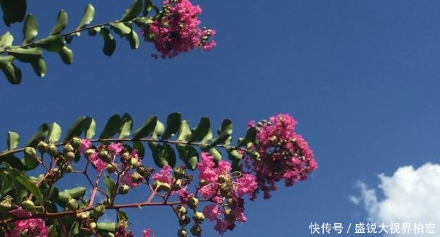 云台山踏秋——立秋后的那一抹姹紫嫣红