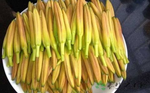 麻油鸡汤产妇可以喝吗