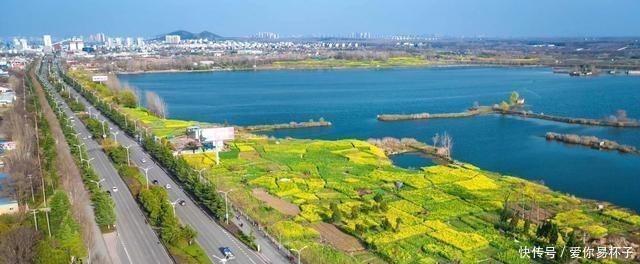 樱花:江南的美当然不分四季,可我却钟爱江南的春天,爱她的恬淡隽永