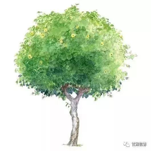 媒体热议丨全国信访局长会议提的这个要求，受到广大群众怒赞！