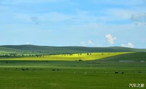 中国有5个让导航都懵圈城市！重庆：我不是针对谁！