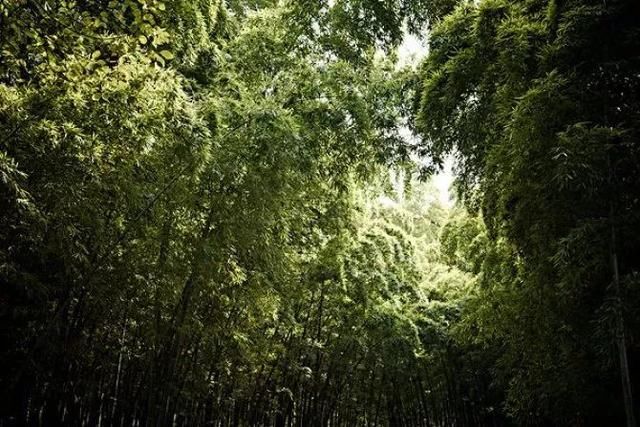 好一出恩爱大戏！江苏96市县的名字连起来，居然是一个爱情故事！