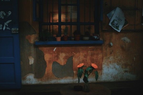 东一院内，静谧之间的欢喜