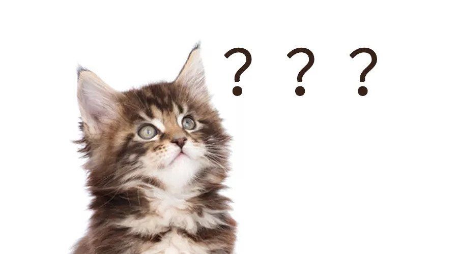 15 个医生才知道的护肤小知识，帮你省钱又变美