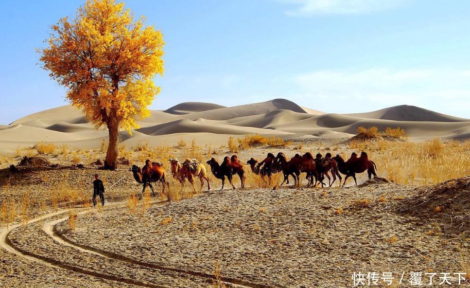 假如塔克拉玛干沙漠每年平均降雨量增加3000毫米,10年后会怎样?