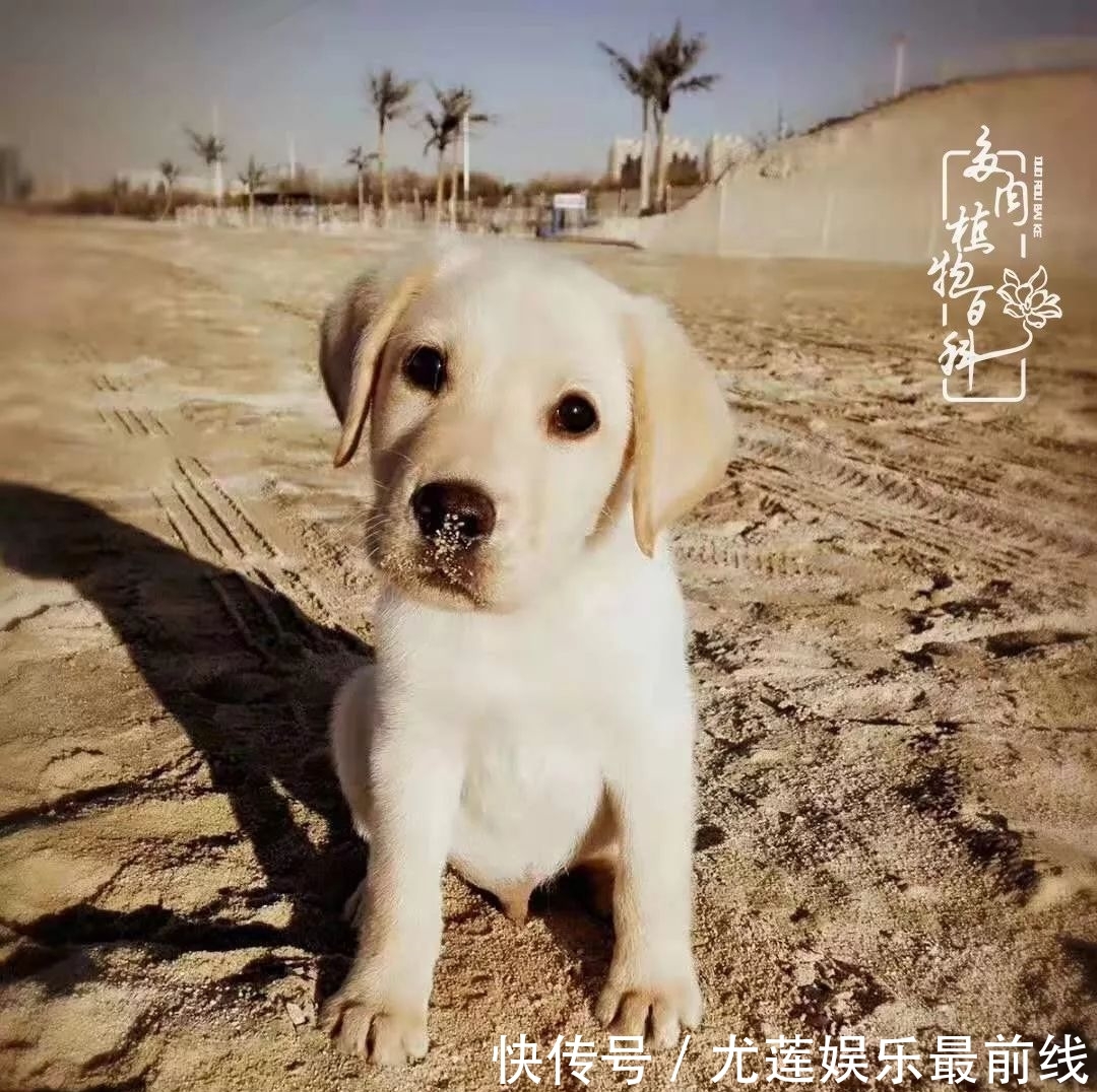 『那种』我爱的,就是你的存在!只要努力该来的都在路上!