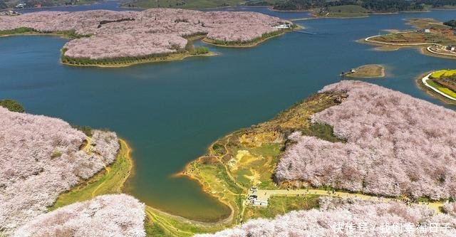 五一小长假你想去哪儿为你盘点全球醉美花海绚烂宛若人间仙境