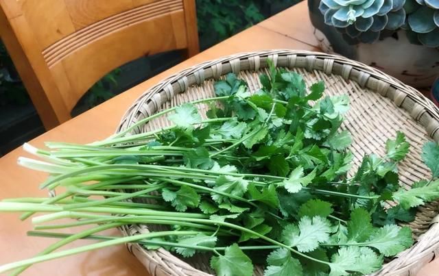  [家里]三月, 家里的植物