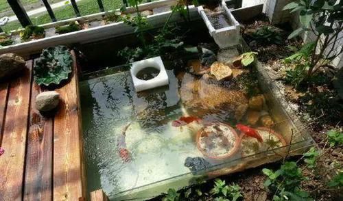  「人喜欢养」在阳台上砌一个鱼池，可拉风了，让外人一看就觉得你是个土豪！