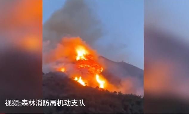  #扑救#北京延庆发生森林火灾 230名消防指战员赶赴火场扑救