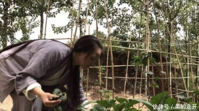 终南山为何隐士越来越多难道真有这么大的魅力吗原因令人深思