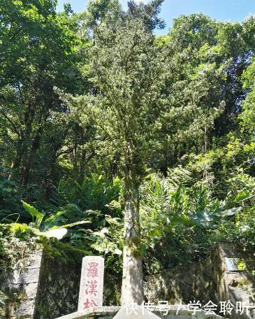 「蓬莱仙境」到坐落在蓬莱仙境的清水岩寺,朝拜清水祖师爷游览仙山风景。