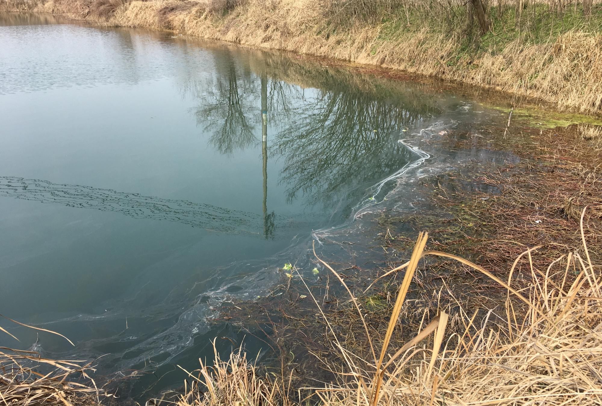 「食物」野钓刮风怎么办？辩证的看待风和水温，食物，溶氧量之间的关系