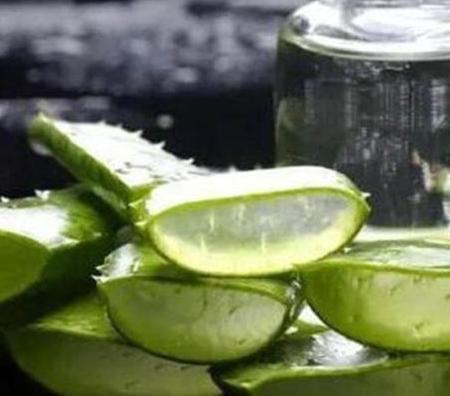 搞笑:芦荟胶的4大妙用,很多人都不知道,看完都喜欢!