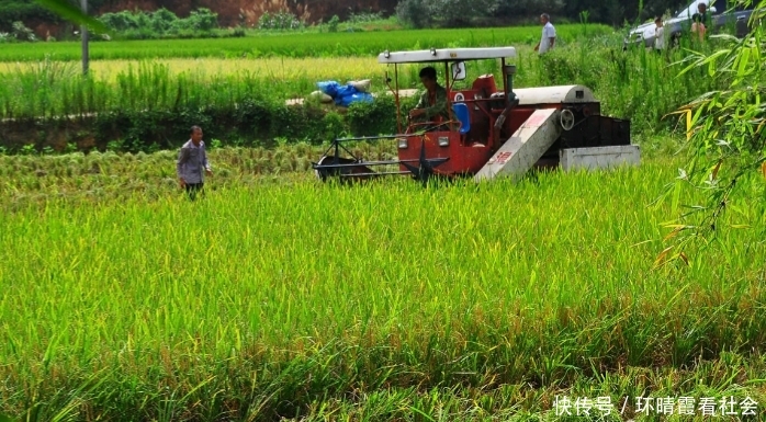  【回村】农村土地荒芜比较普遍，怎样才能使农民自动回村生产粮