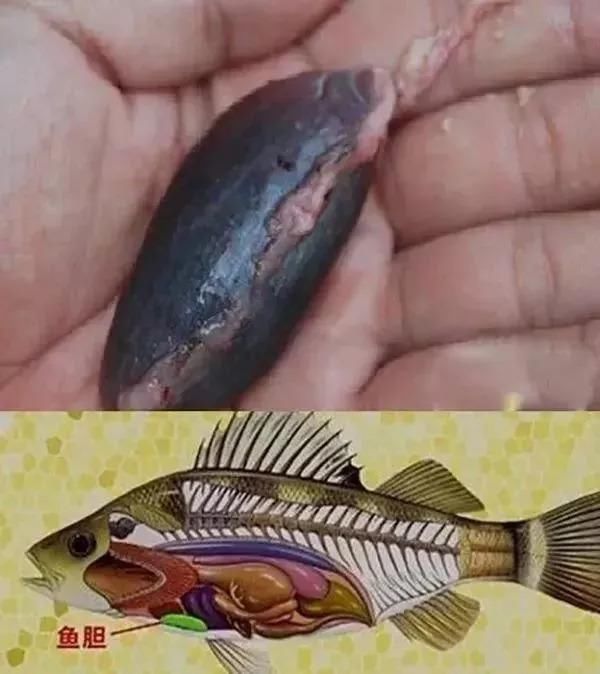 曝光了!公认的一类致癌物竟然有它,打死都猜不到!鸡鸭鱼肉虾这