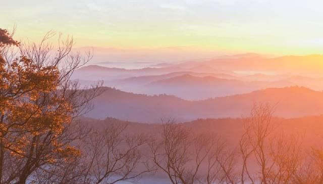 十首元曲说秋：秋叶静美，秋华如丹