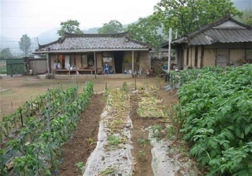 韩国的农村是什么样的？