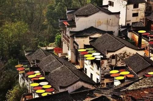 10月，我把时间留给婺源