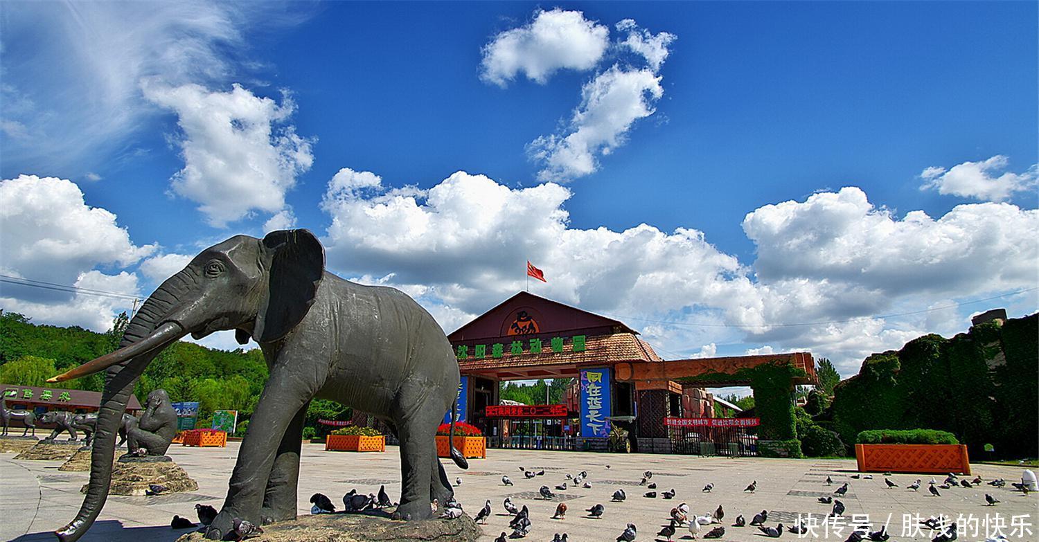 东北唯一特大城市，高楼数量比南京成都还多，目前为准一线城市！