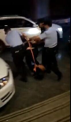 “遛狗不栓绳，等于狗遛人”女网红伙同其母殴打孕妇，气焰嚣张