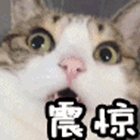 网警防骗小课堂男子冒充航空公司机长诈骗多位女子，涉案金额达百