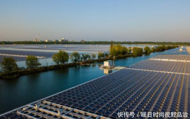  【中国】中国在发电站放了几千只羊，一个世界难题，就这样被羊