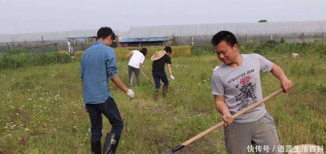  [解决]农村光棍问题越来越严重，咋办？老农：2个办法可解决