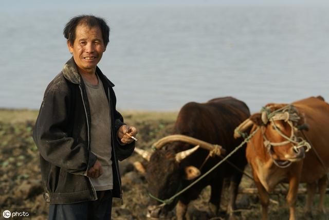 老农不解，为何农民当年交的公粮不能算社保？这3点解释你满意吗