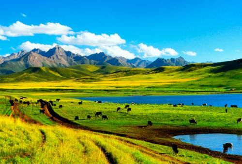 世界最大的马场,距今2100多年由霍去病创始,就在甘肃