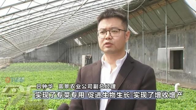  「农业生产」阳台变田园 盆栽蔬菜你家阳台有吗
