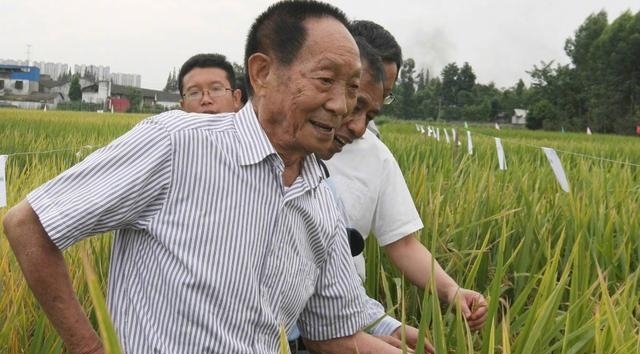 杂交水稻之父袁隆平，88岁再创奇迹