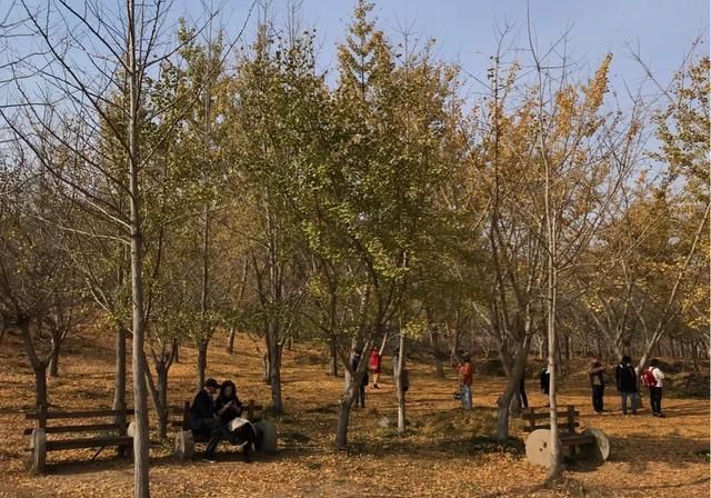 图说中国千年银杏谷