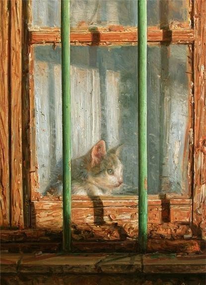 你站在窗外看风景,看风景的猫在窗外看你