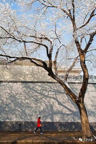 大年初三北京要下雪？这些赏雪好去处先收藏