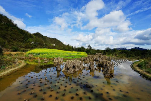 我国“最富有”的景区，收入高达600亿，城市经济发展全靠它